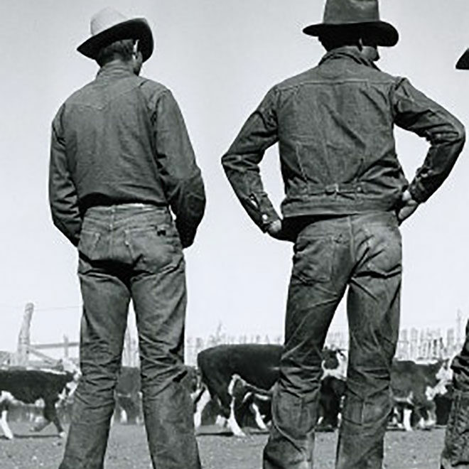 cowboys cowboys